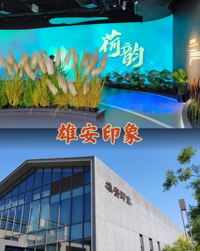 雄安红色团建，重温历史，红色传承